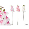RAMA ORQUIDEA 105 CM SURT 3 