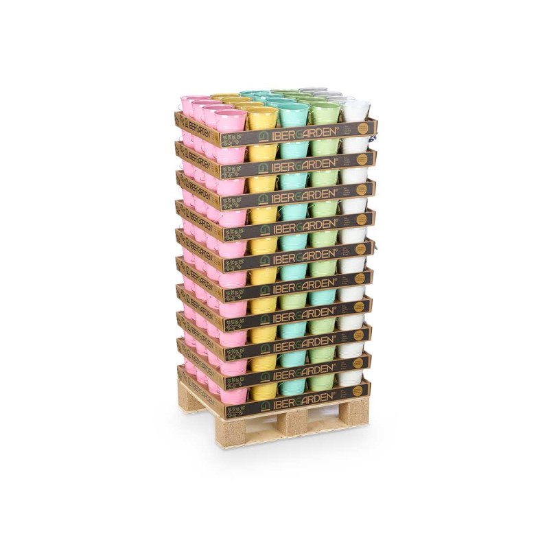 BOUGIE CITRONNELLE EN BOÎTE ASSORT 5 COUL DISPLAY