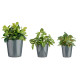 SET 3 POTS DE FLEURS CERAMIQUE CONIQUE ANTHRACITE