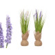 BOUQUET SACCO LAVANDA ASS 2 COL