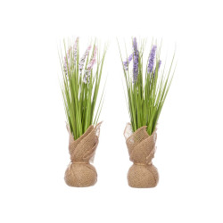 RAMILLETE SACO LAVANDA SURT 3 COL