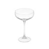 VINTAGE CHAMPAGNE GLASS 315ML