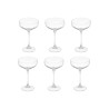 VINTAGE CHAMPAGNE GLASS 315ML