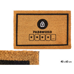 PAILLASSON 40X60CM PASSWORD 