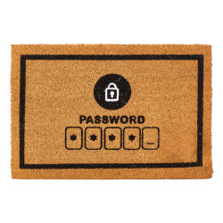 40X60 PASSWORD DOORMAT 