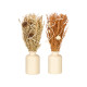 TALL SMALL VASE ASSORTED 2 COLORS