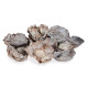 SACO FOLHAS FLORES NATURAL