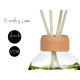 DIFUSOR 100ML COM STICKS VERDE LIMA 