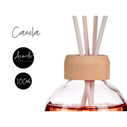 MIKADO 100ML AVEC TIGE CANNELLE 