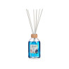 DIFUSOR 100ML COM STICKS SPA