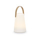 LAMPADA DA TAVOLO LED MANICO ASS 2 COL