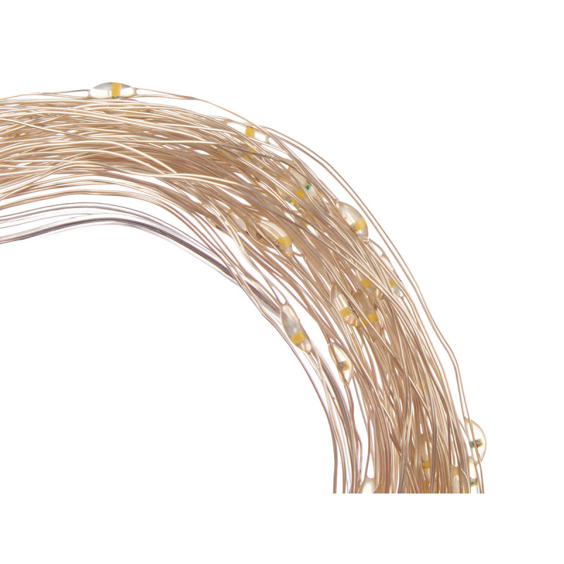 BANDE LED 100 LUMIÈRE CHAUDE AVEC BOÎTE INTÉRIEURE