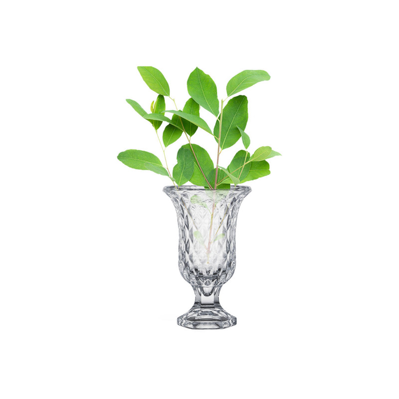 COUPE VERRE 23,5CM DIAMANTS 