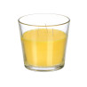 CANDELA CONICA CITRONELLA 500 GR