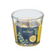 CANDELA CONICA CITRONELLA 500 GR