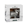 ELEPHANT RESINE GRAND ARGENT
