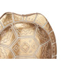 CAPARAZON TORTUGA CON BASE ORO