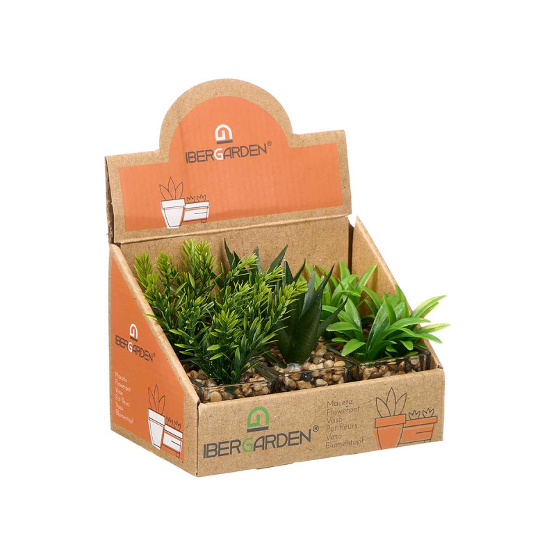 GLASS PLANT POT ASSORTED 3