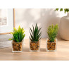 POT PLANTE VERRE SET 3