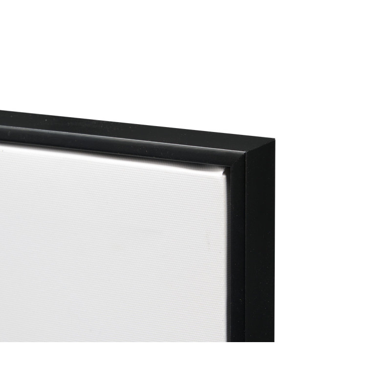 BLACK CANVA FRAME BIRD ASSORTED 2