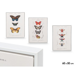 CUADRO LIENZO MARCO BLANCO MARIPOSA SURT3