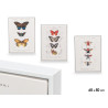 WHITE CANVA FRAME BUTTERFLY ASSORTED 3
