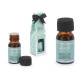 OLIO AROMATICO 15ML 6 FRA ASSORT