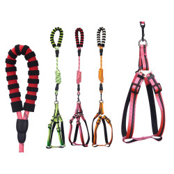 GUINZAGLIO PET 1,2 M PETTORINA RIFLET ASST 3