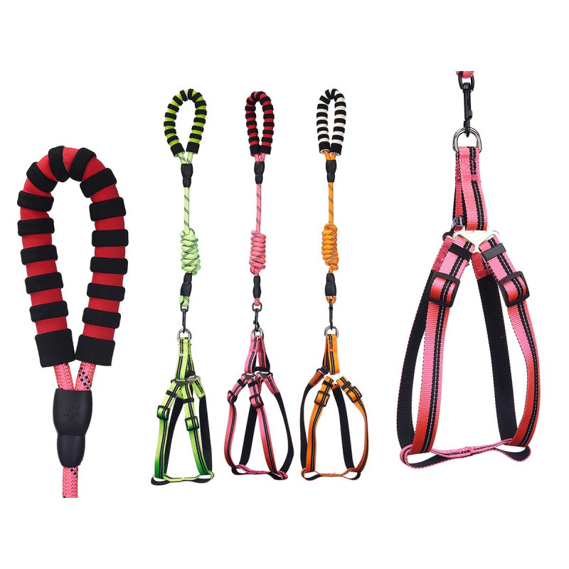 GUINZAGLIO PET 1,2 M PETTORINA RIFLET ASST 3