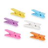 SET 10 PINCES EN BOIS MULTICOLORE MOYEN