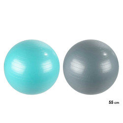 BALON DE FITNESS SURT 2 COL