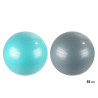 BALLON FITNESS ASSORTI 2 COULEURS