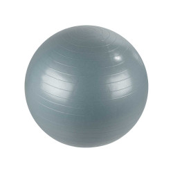 FITNESS BALL ASS 2 COL