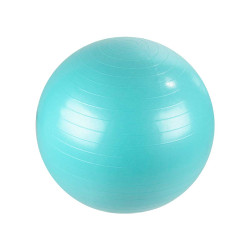 BALLON FITNESS ASSORTI 2 COULEURS