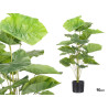 POT PLANTES À FEUILLES LARGES 90CM