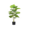VASO PIANTA FOGLIE LARGHE 90CM