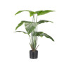 POT PLANTES À FEUILLES LARGES 110CM
