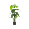 POT PLANTES À FEUILLES LARGES 150CM