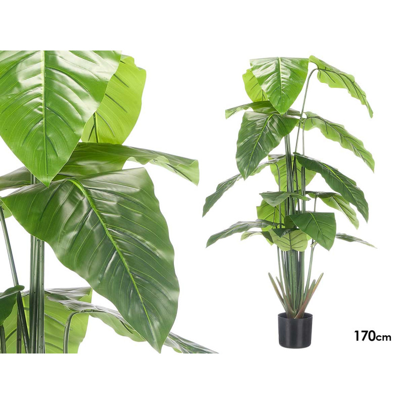 VASO PLANTA FOLHAS PONTA LARGA 170CM