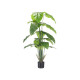 MACETA PLANTA HOJAS PUNTA ANCHA 170CM