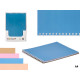 TOMANOTAS A4 40 HOJAS ANILLO COLOR NEUTRO SURT 4