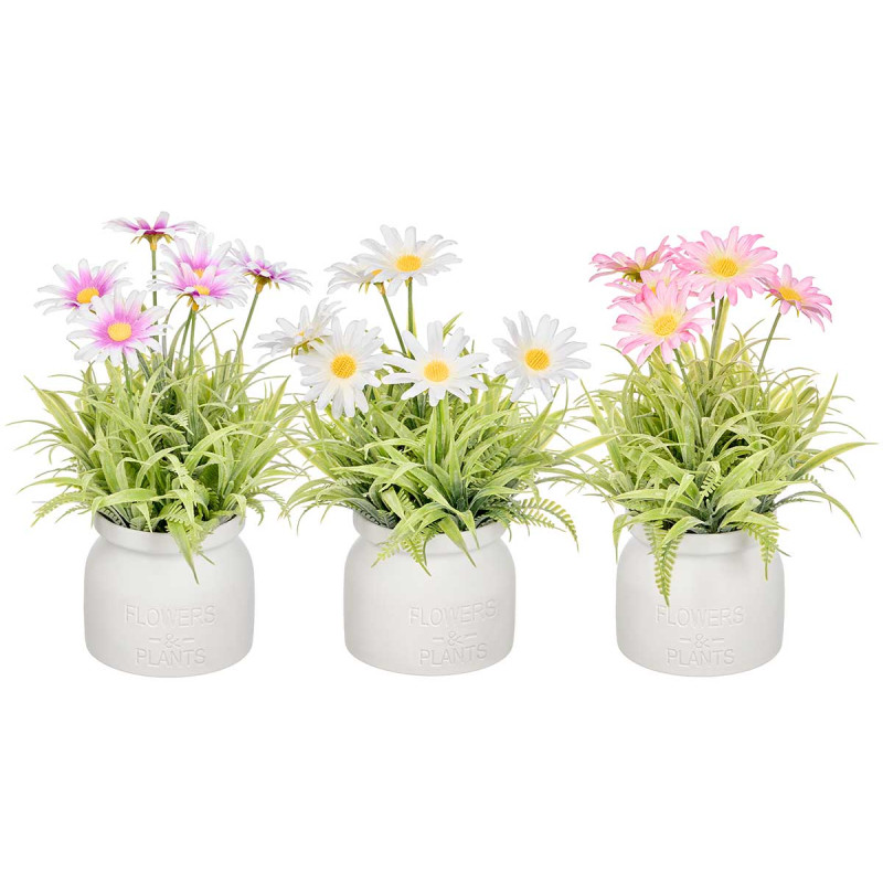 POT MARGUERITES ASSORTIES 3 COULEURS 23CM