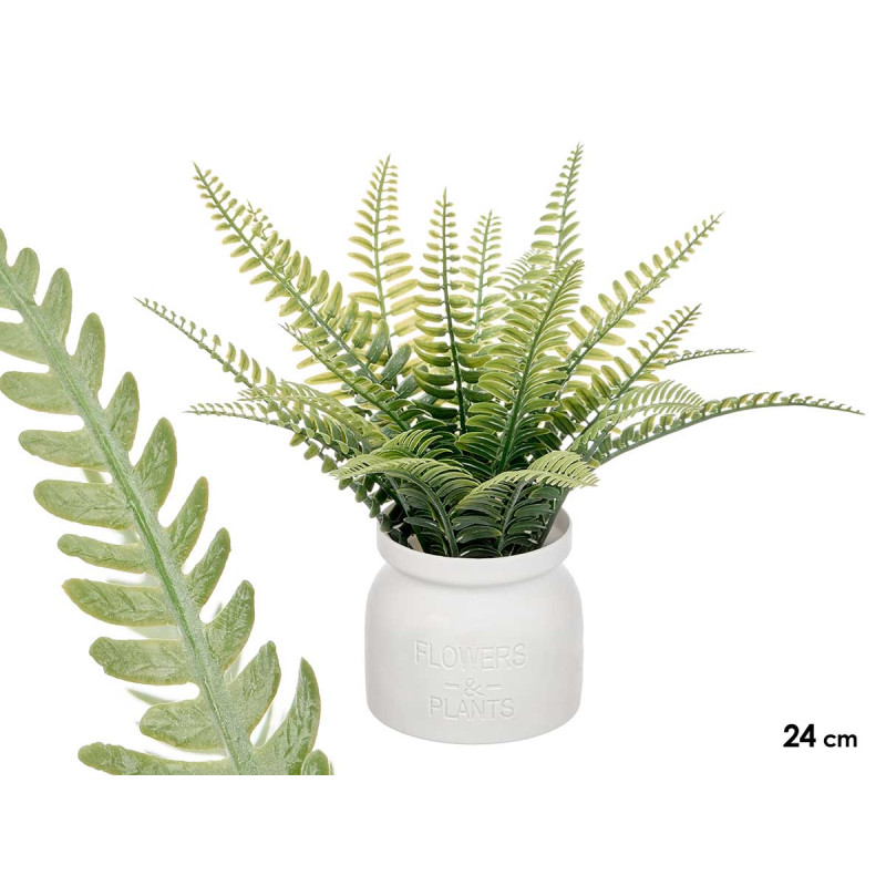 POT FOUGÈRE 24CM