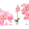 MACETA ORQUIDEA ROSA 47CM