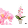 POT PINK ORCHID 40CM