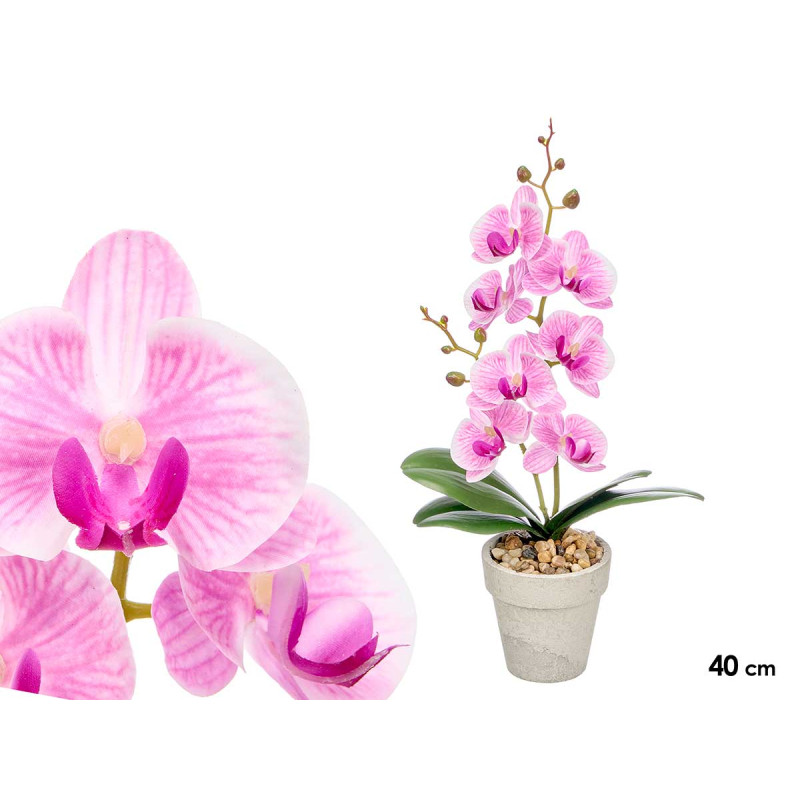 VASO ORCHIDEA VIOLA 40CM