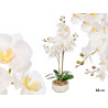 ROUND POT WHITE ORCHID 66CM