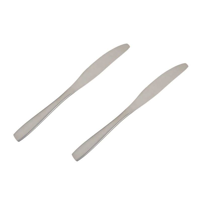 SET 2 COLTELLI METALLICI