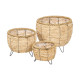 SET 3 CORN LIGHT SHORT PLANTERS