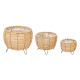 SET 3 CORN DARK SHORT PLANTERS